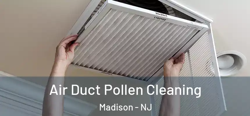 Air Duct Pollen Cleaning Madison - NJ