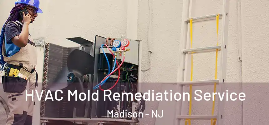 HVAC Mold Remediation Service Madison - NJ