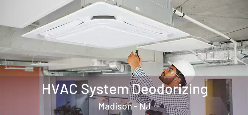  HVAC System Deodorizing Madison - NJ