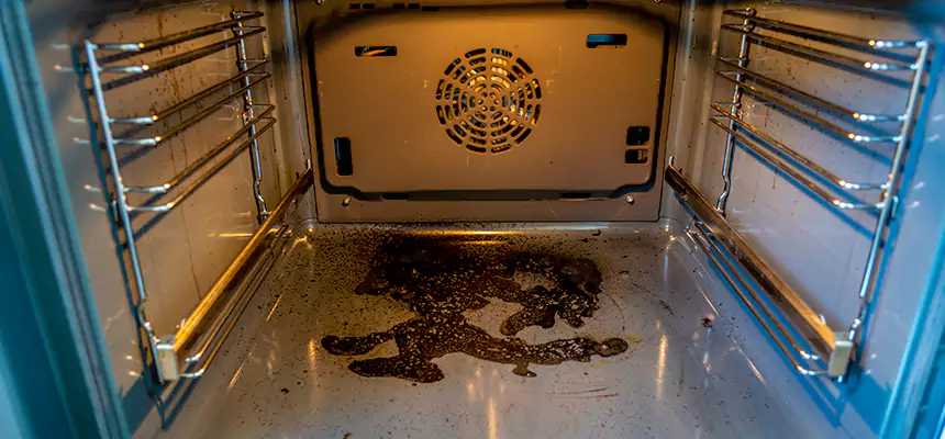 Our Dryer Vent Mold Cleaning Services in Madison, NJ