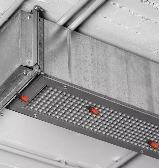 Affordable Insect Removal from Air Ducts in Madison, NJ