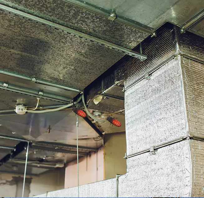 Why Homeowners & Businesses Trust Us in Madison, NJ?