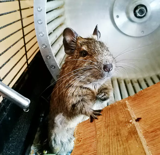 Why Homeowners & Businesses Trust Us Madison, NJ?